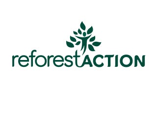 Reforestaction